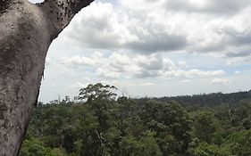 Samboja Lodge